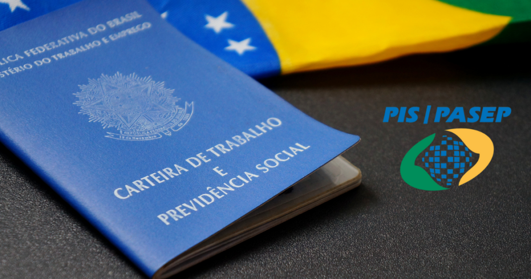 Ministério do Trabalho e Emprego liberou a lista dos dados obrigatórios para consultar o PIS/PASEP online A expectativa do poder público é de que neste ano 24,5 milhões de pessoas sejam beneficiadas com o abono salarial.