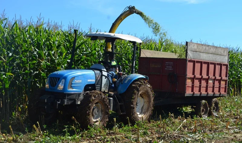 Produção agrícola avança com apoio de Ezequiel Neiva em Colorado do Oeste