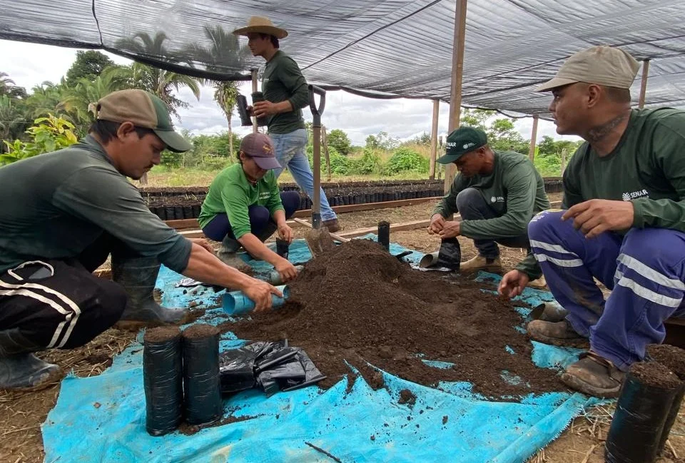 Porto Velho amplia produção de cacau com mudas e tecnologia