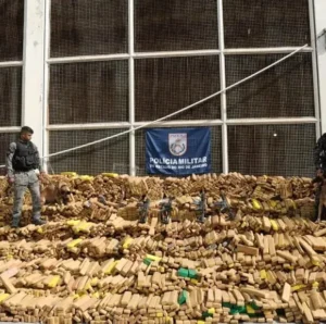 Cão leva Polícia a fazer apreensão recorde de 48 toneladas de maconha no Rio