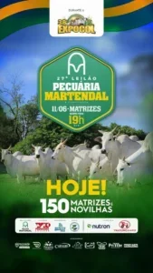 Leilão da Pecuária Martendal promete movimentar negócios durante a 38ª Expocol