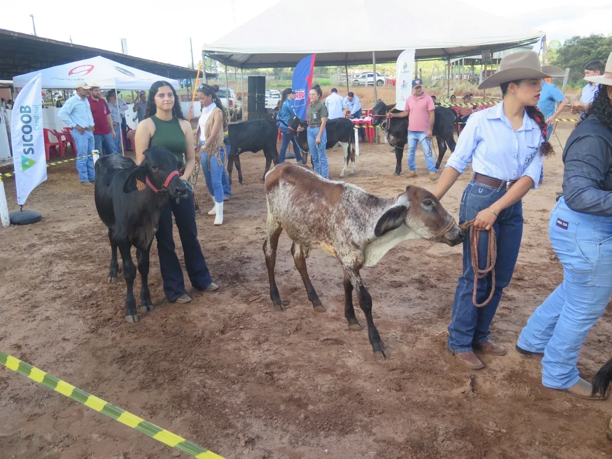 Estudantes e profissionais participam das atividades da Expocol