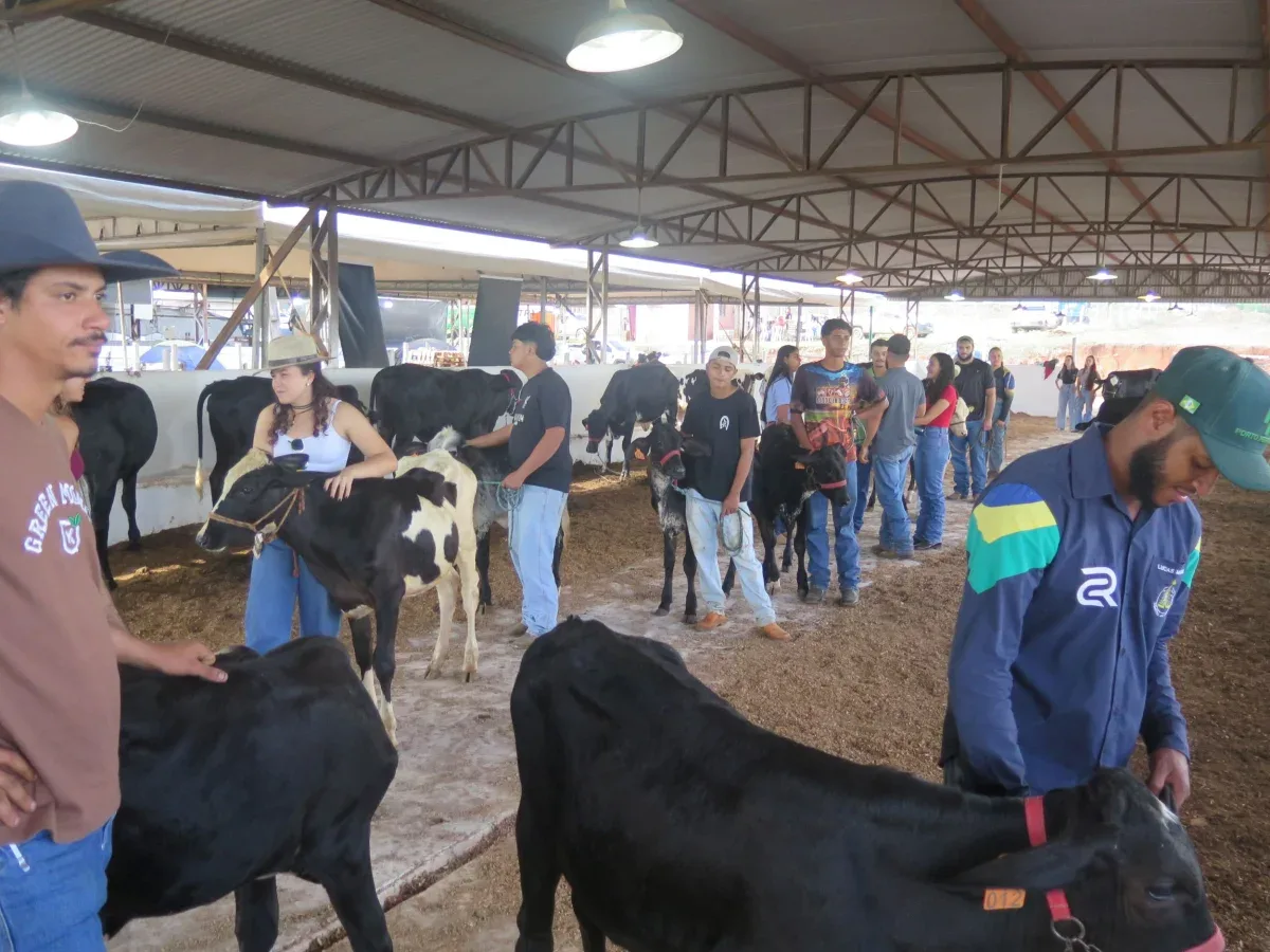 Julgamento técnico de animais leiteiros na Expocol