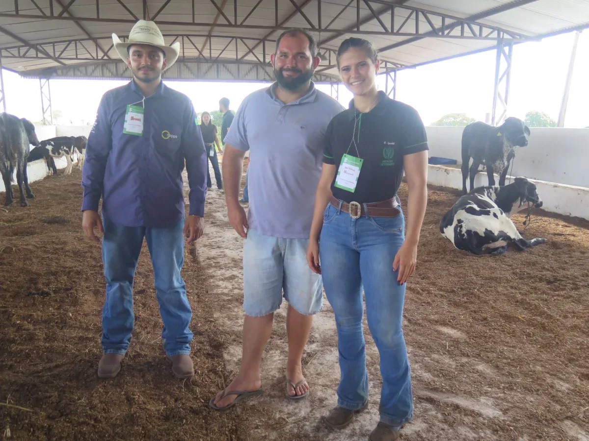 Produtores e técnicos acompanham o julgamento do gado leiteiro