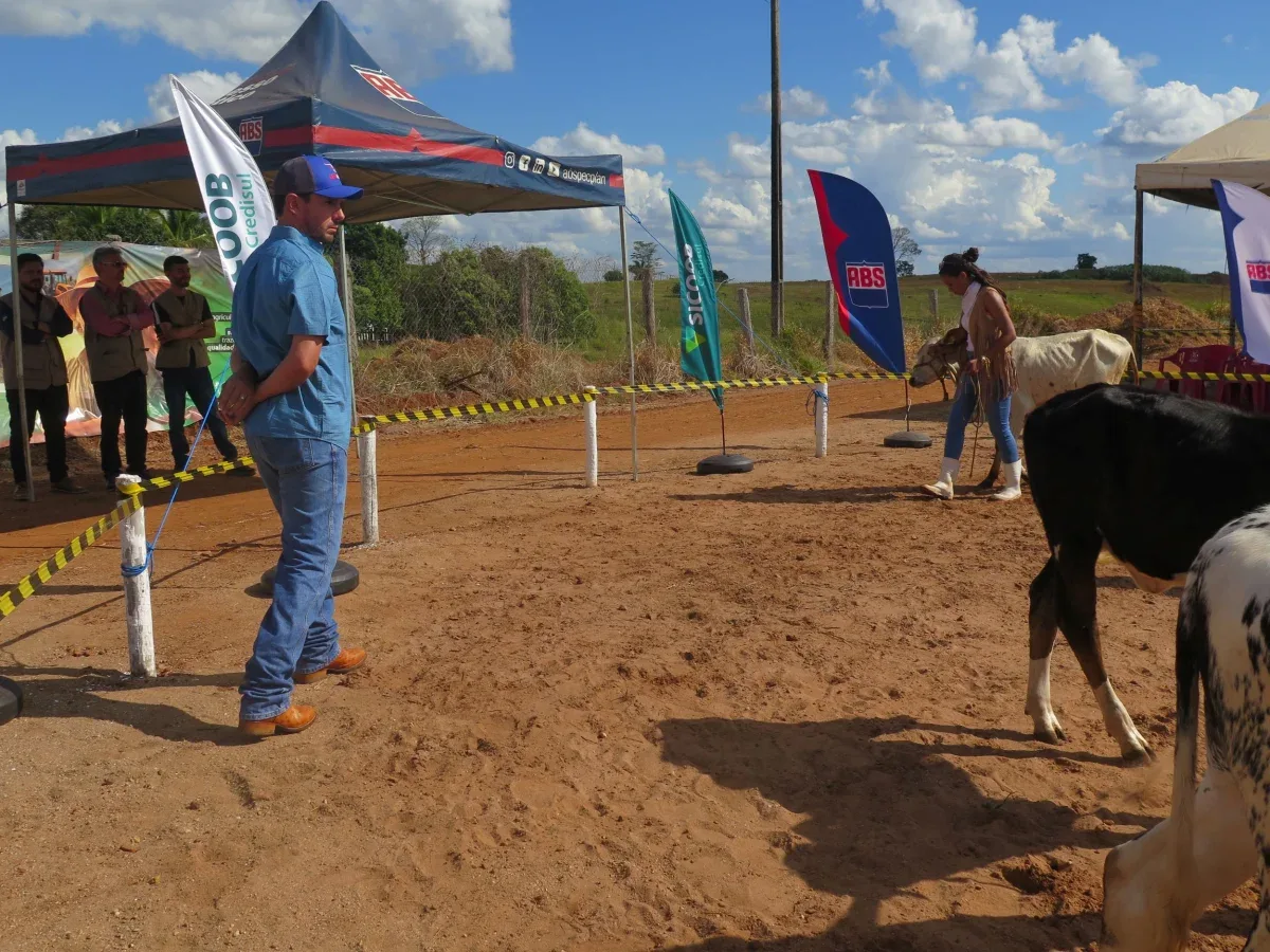 Avaliação técnica do gado leiteiro durante a exposição