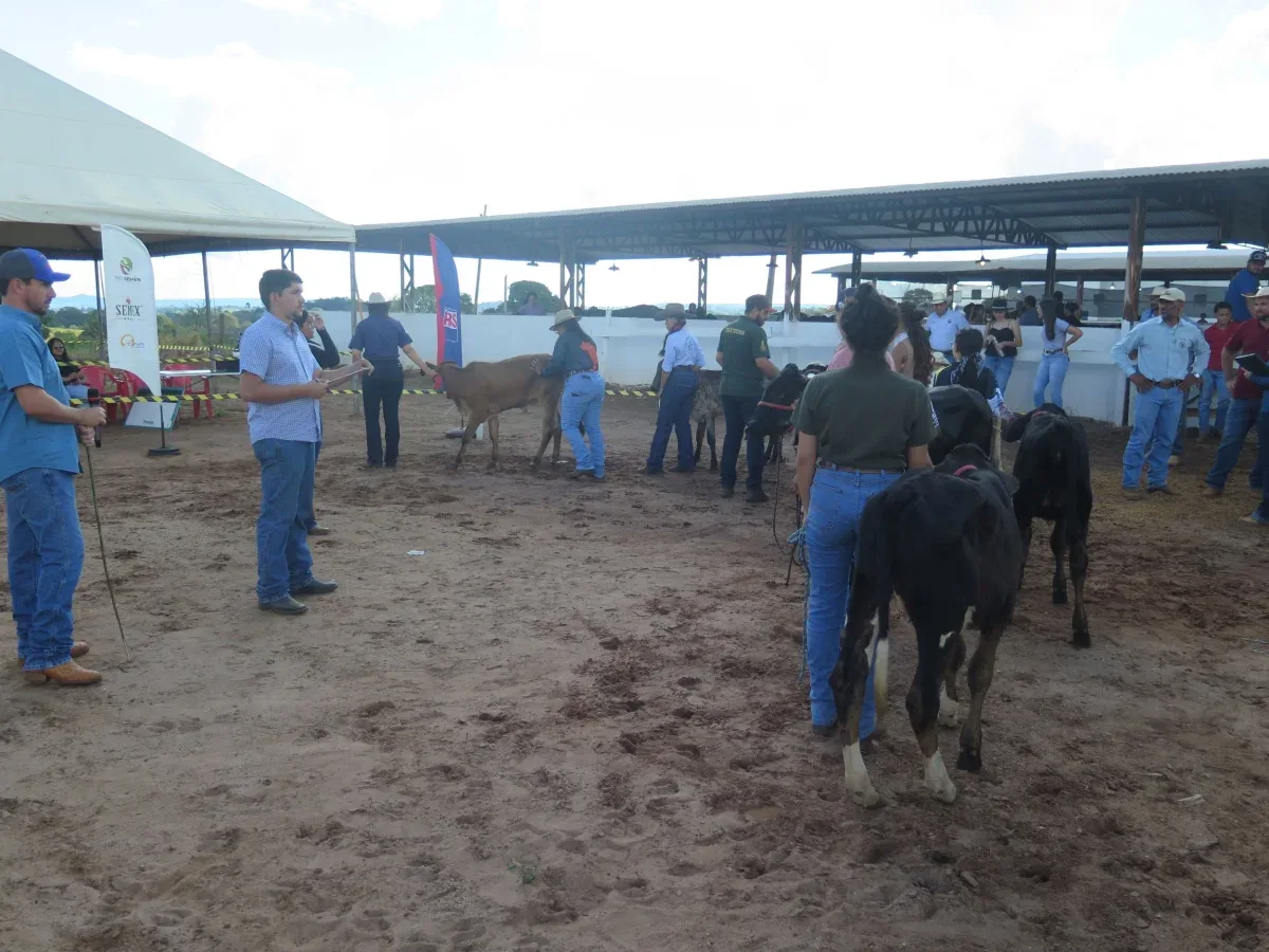 Animais apresentados na pista de julgamento da Expocol