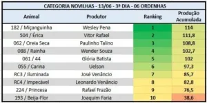 Novilhas campeãs do Concurso Leiteiro