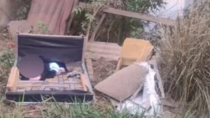 Latidos de cadela salvam recém-nascido abandonado em sofá velho