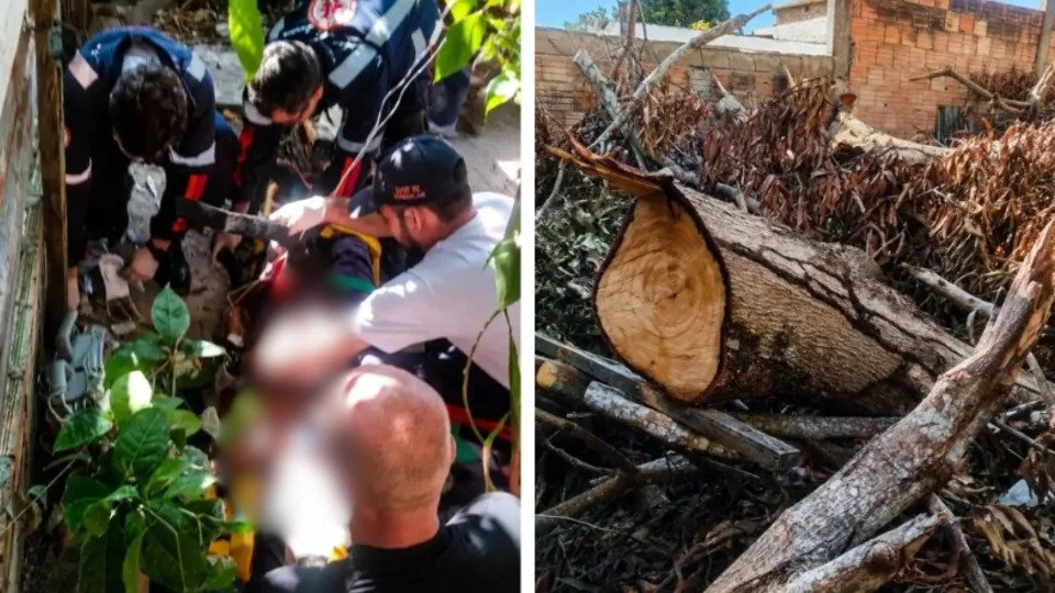Idoso morre após ser atingido por tronco de árvore