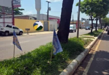 Justiça Eleitoral notifica campanhas sobre proibição de bandeiras em canteiros e carros de som em “pit stops” Justiça Eleitoral notifica campanhas sobre proibição de bandeiras em canteiros e carros de som em "pit stops"