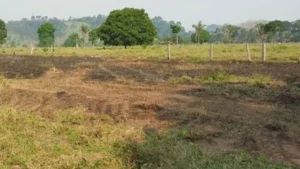 Homem morre durante combate a incêndio em pasto